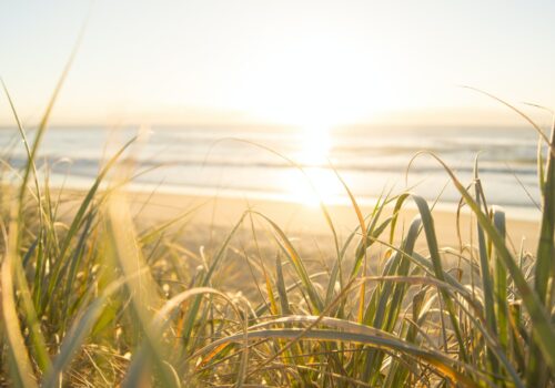 Summer Senior Activity Blog Header