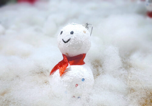 Winter Activities for Seniors Blog- Header Image