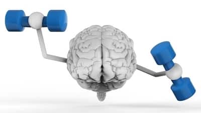 3d rendering brain holding dumbbells on white background