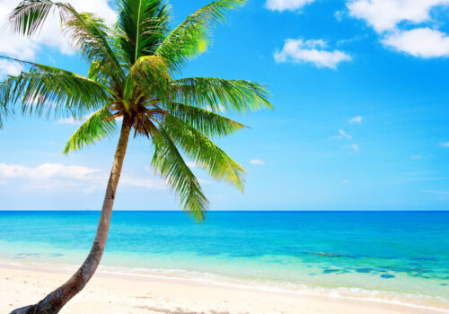 wallpaperflare.com_wallpaper